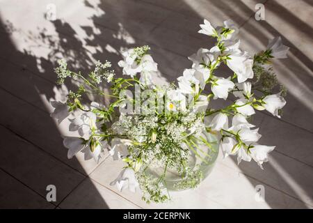 White bell flowers in a glass vase. Flowers in evening sunlight and shadow. Amazing shape, curve from white daisy flower pot with long oblique shadow Stock Photo