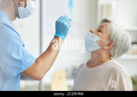 Side view shot of professional medical worker taking nasal swab sample for infection using test stick Stock Photo