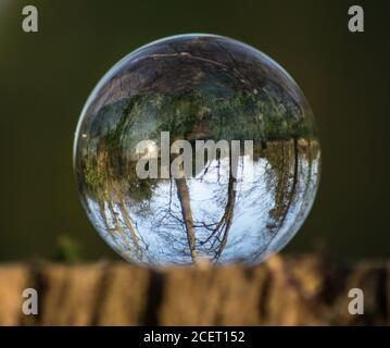 Crystal, Lens, Photo Ball on moss in forest, woodland, bluebell woods showing upside down reflected and magnified image Stock Photo
