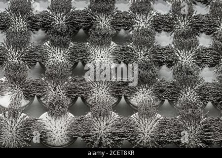 Invisible magnetic flux made visible with iron filings creating interesting  interlocking patterns with circular magnet Stock Photo