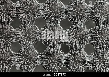 Invisible magnetic flux made visible with iron filings creating interesting  interlocking patterns with circular magnet Stock Photo