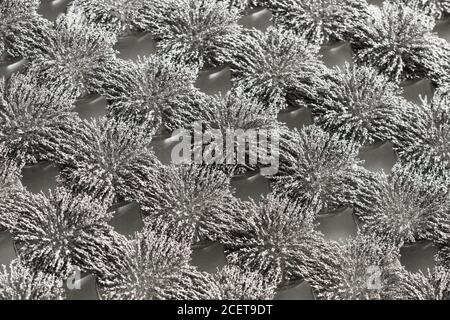 Invisible magnetic flux made visible with iron filings creating interesting  interlocking patterns with circular magnet Stock Photo