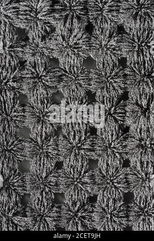 Invisible magnetic flux made visible with iron filings creating interesting  interlocking patterns with circular magnet Stock Photo