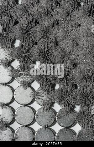 Invisible magnetic flux made visible with iron filings creating interesting  interlocking patterns with circular magnet Stock Photo