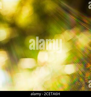Blurred bokeh background with solar glow spectrum of rays in all shades Stock Photo
