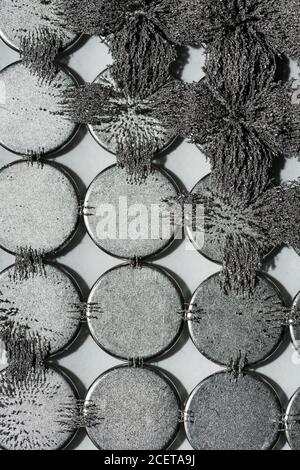 Invisible magnetic flux made visible with iron filings creating interesting  interlocking patterns with circular magnet Stock Photo