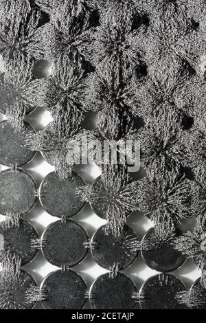 Invisible magnetic flux made visible with iron filings creating interesting  interlocking patterns with circular magnet Stock Photo