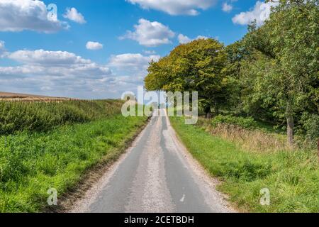 A country road in East Yorkshire leading off in to the distance with blue sky on sunny day. Stock Photo