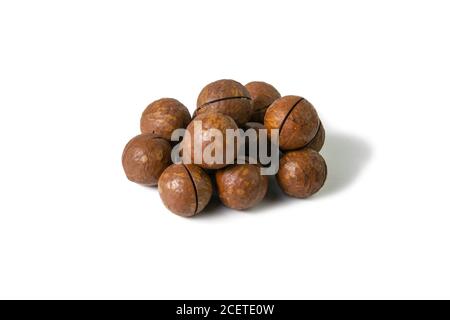 Macadamia nuts isolated on white background. Front views, close-up Stock Photo