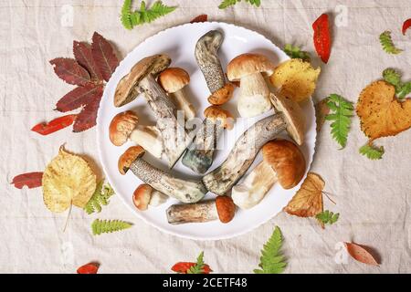Porcini and boletus mushrooms on a plate on a gray fabric background. Top view. Natural organic vegetarian food Stock Photo