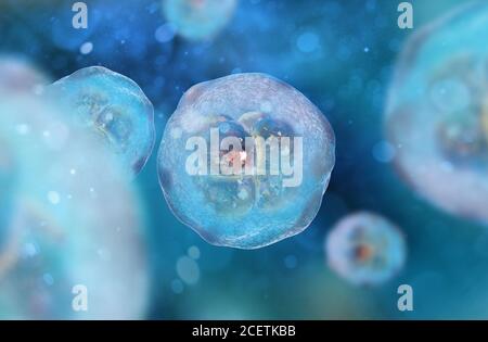Cells under a microscope. Stem cell research. Cell therapy. Cell division. 3d illustration Stock Photo