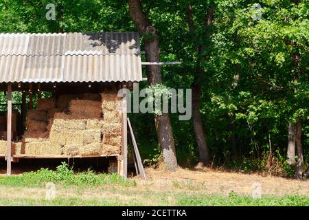 Fodder Rack Animals Wooden feeding rack for wild animals in a forest during winter. Meadow ...