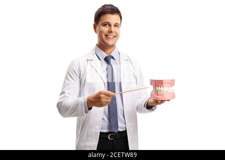 Young male dentist holding a jaw model and pointing with a stick isolated on white background Stock Photo