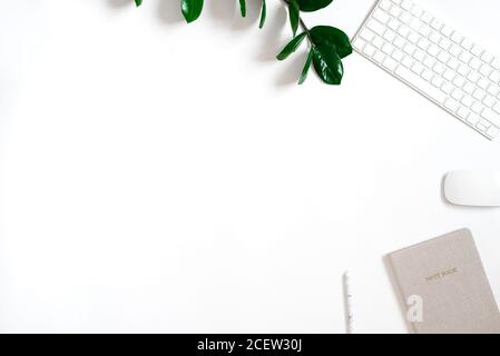 The view from the top was lying flat office workspace. the table is stylized. Design of office accessories branch green zamiokulkas, wireless keyboard Stock Photo