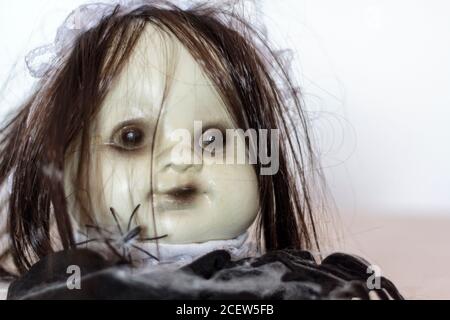 Creepy doll face with spiders. Halloween concept Stock Photo