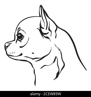 Decorative outline portrait of cute Chihuahua dog vector illustration in black color isolated on white background. Isolated image for design and tatto Stock Vector