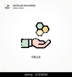 Cells vector icon. Modern vector illustration concepts. Easy to edit and customize. Stock Vector