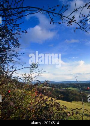 The view from Newlands Corner in the Surrey Hills, Surrey, England UK Stock Photo