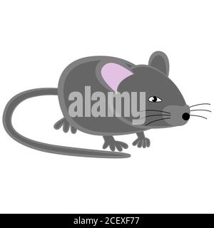 Gray house mouse with long tail isolated on white background. Stock Vector