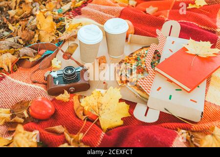 different stuff on the blanket old retro camera apple book pizza. copy space Stock Photo