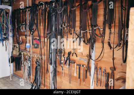 Collection of assorted harness and tools for horseback riding hanging on wooden wall in barn on ranch Stock Photo