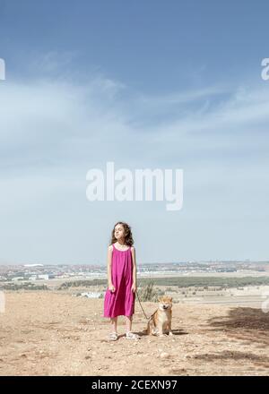 Little girl in dress standing with cute obedient purebred Shiba Inu dog on hill while spending summer day together in countryside Stock Photo