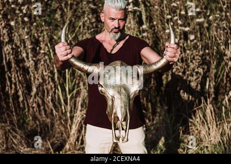 Serious muscular bearded gray haired male with tattoo holding horn animal skull while standing against tall grass and blue sky in nature looking at camera Stock Photo