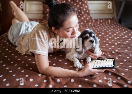 Female resting on bed with cute dog at home and using mobile app for online shopping while choosing food for order Stock Photo