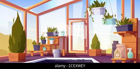 Greenhouse interior with potted plants on shelves. Empty winter garden, orangery with glass walls, windows, roof and stone floor, place for growing flowers, inside view. Cartoon vector illustration Stock Vector