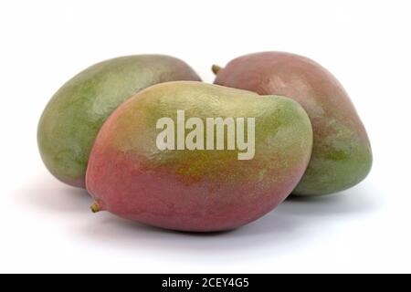 Mango isolated against a white background Stock Photo