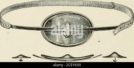 . Abdominal hernia : its diagnosis and treatment. 5. Elliptic double-spring hard-rubber umbilical truss.. 6. Bow-spring hard-rubber umbilical truss. MECHANICAL TREATMENT: UMBITJCAT,. 363 Group of Adult Umbilical Trusses {^Continutd), Stock Photo