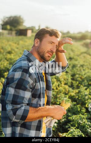 tired farmer in plaid shirt touching forehead and looking away while standing in field Stock Photo