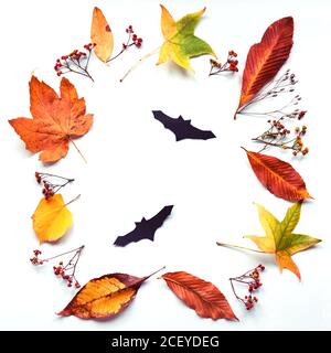 Frame made of autumn leaves and dried flowers, handmade black bats on white background. Halloween concept. Top view, flat lay. Stock Photo