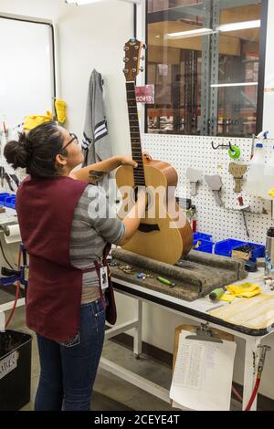Workers building and assembling guitars at the Taylor Guitar factory in Tecate, Mexico.  This worker is attaching the neck to the guitar body. Stock Photo