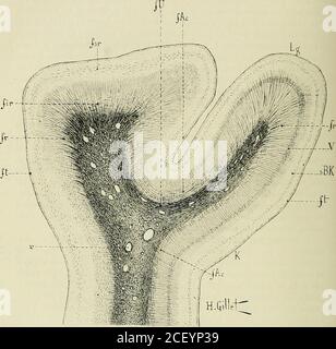 aire du hill rencontre