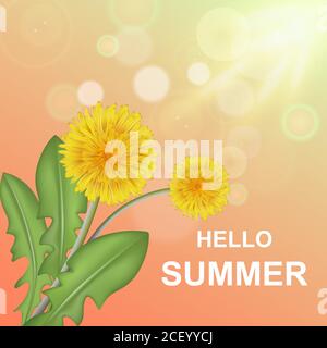 Hi summer. Dandelion flower with elements of side and sunflower rays.Background of the hot season.Vector realistic illustration. Stock Vector