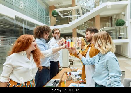 Cheerful positive team of young guys stands around table, clink paper glasses in modern designers agency, joyfully looks at each others with satisfied Stock Photo