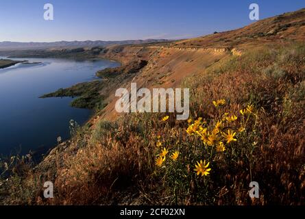 White Bluffs with Columbia River, Hanford Reach National Monument, Washington Stock Photo