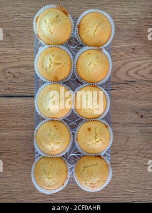 Plate of delicious baked muffins in two rows of six sweet dessert pieces. Stock Photo