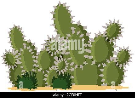 Catus plants cartoon style on white background illustration Stock Vector