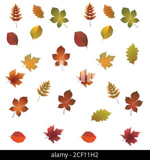 colorful autumn leaves set, isolated on white background. vector illustration. Stock Vector