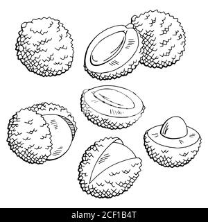 Lychee fruit graphic black white isolated sketch illustration vector ...