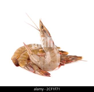 Raw shrimp isolated on white background. Raw prawns. Stock Photo
