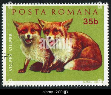 ROMANIA - CIRCA 1972: stamp printed by Romania, show fox, circa 1972. Stock Photo