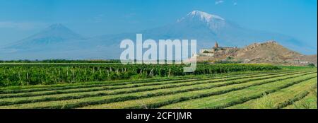 Little and Great Ararat Mountains, The Ararat massif, Ararat Province, Armenia, Middle East Stock Photo