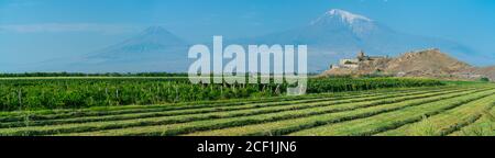 Little and Great Ararat Mountains, The Ararat massif, Ararat Province, Armenia, Middle East Stock Photo