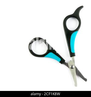 Scissors for grooming animals isolated on a white background. Free space for text. Stock Photo