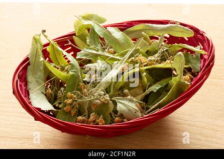 fresh linden leaves in the basket Stock Photo