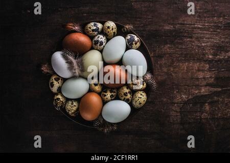 Speckled quail eggs and feathers in bowl Stock Photo