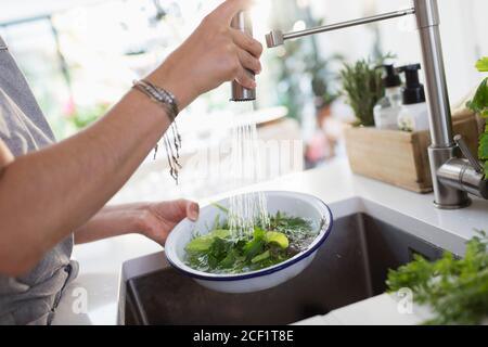 Woman washing salad greens and herbs at kitchen sink Stock Photo